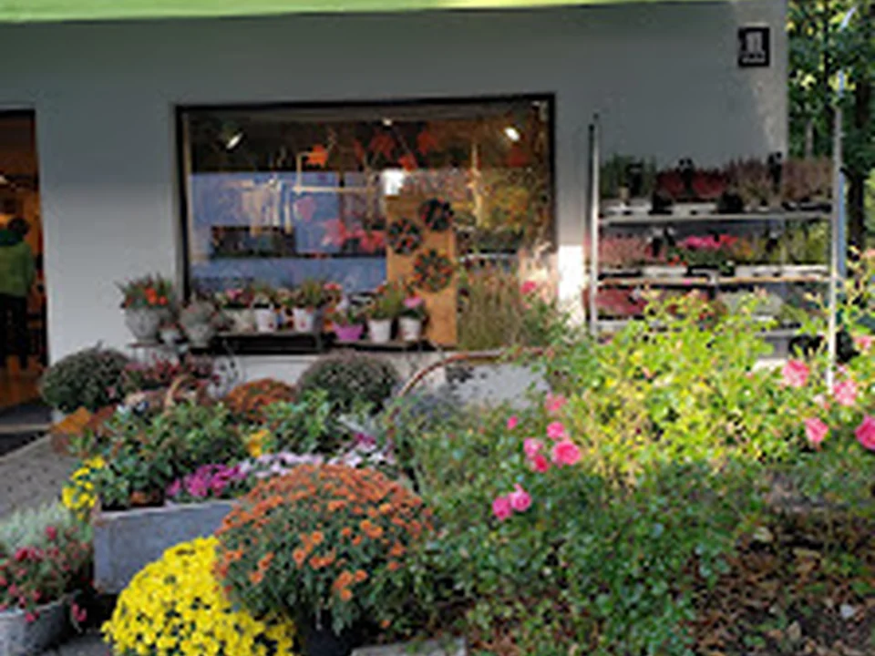 Blumenhaus Lex Angelika