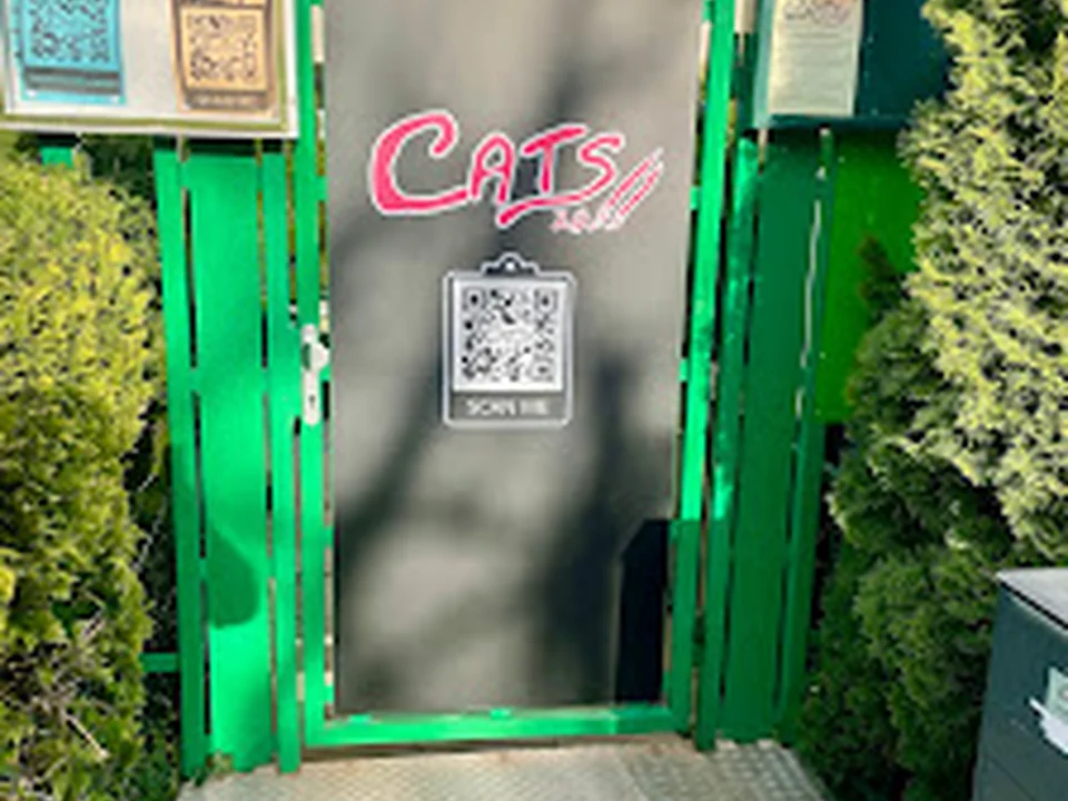 Best swinger club in Munich