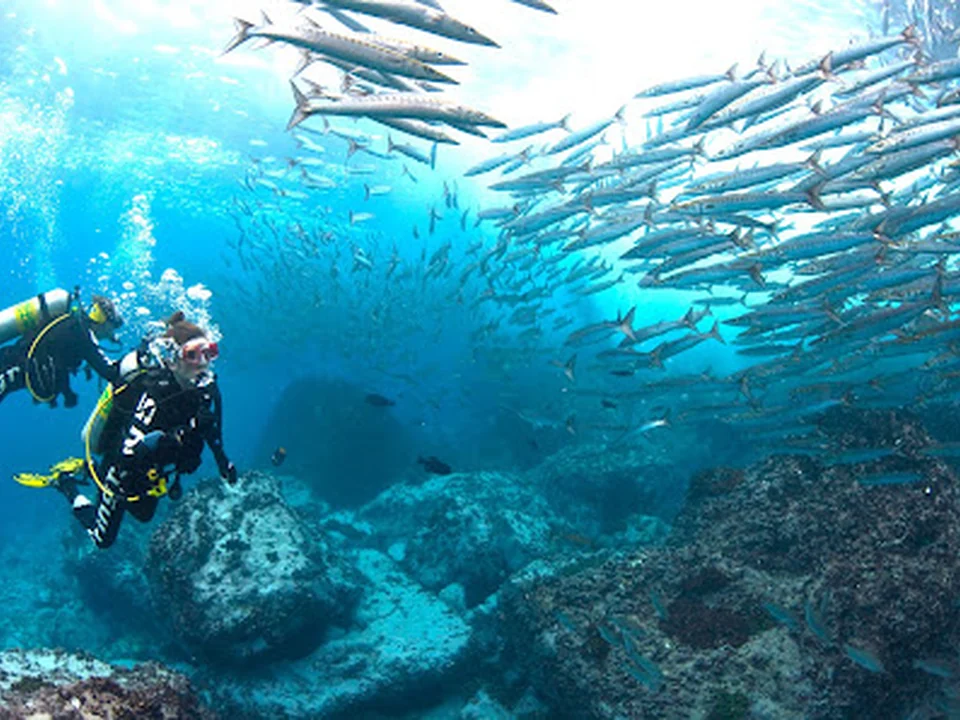 Diving Specials GmbH - Tauchreisen - Scuba Diving - Dive Travel - München