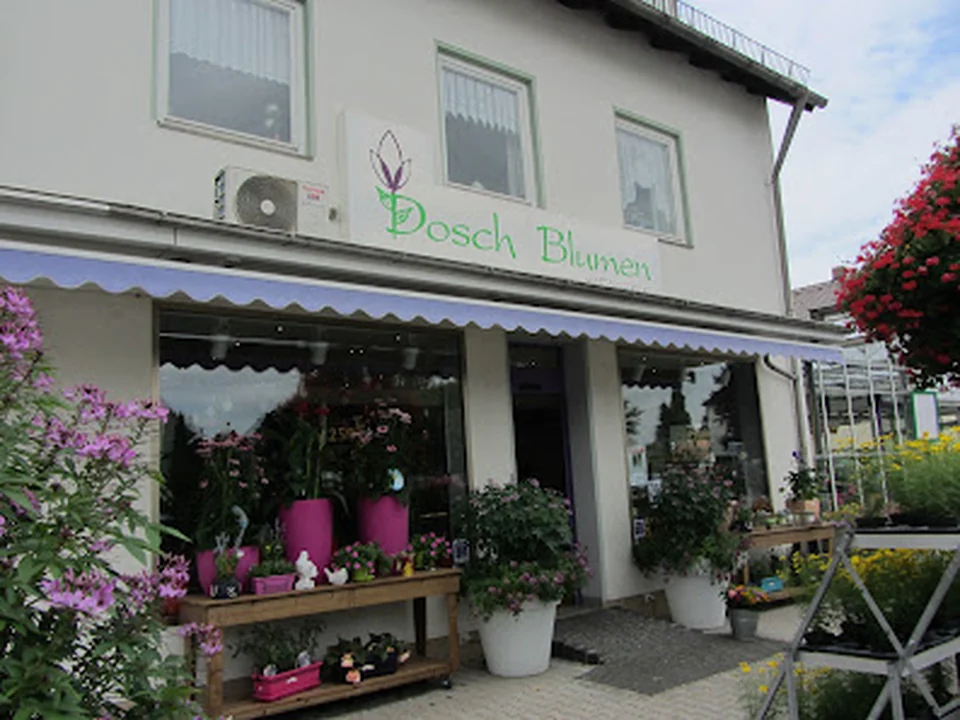 Dosch Blumen