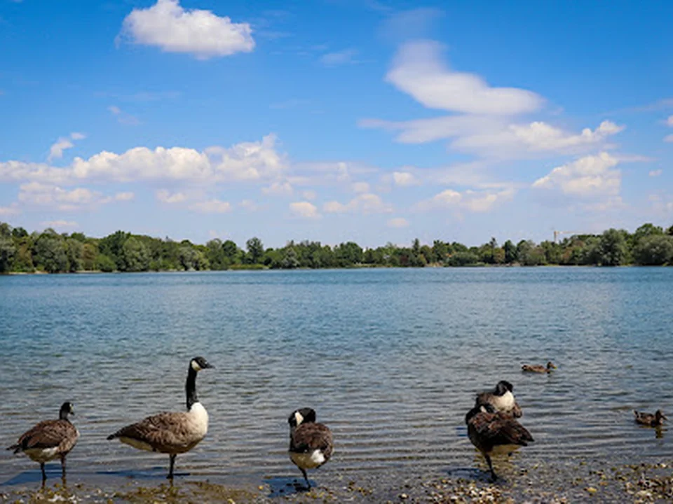 Feldmochinger See