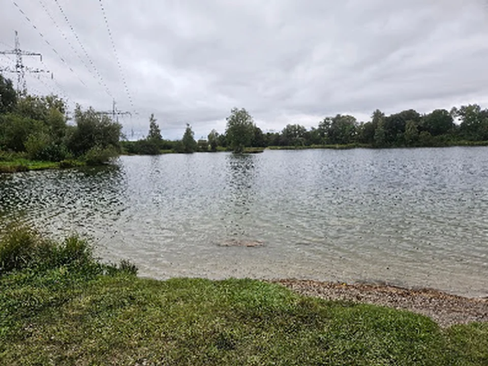 Halbinsel am Böhmerweiher