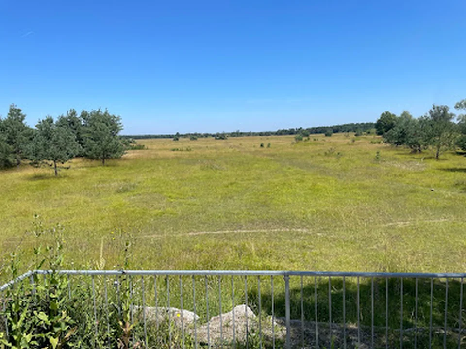 Heideblick Kieferngarten