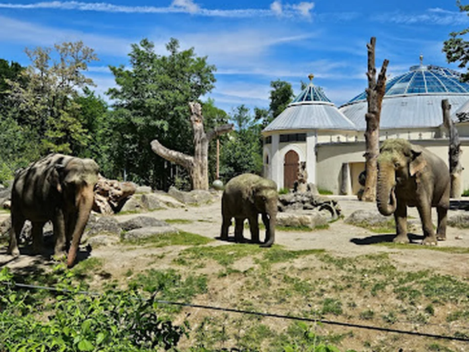 Foto de Hellabrunn Zoo