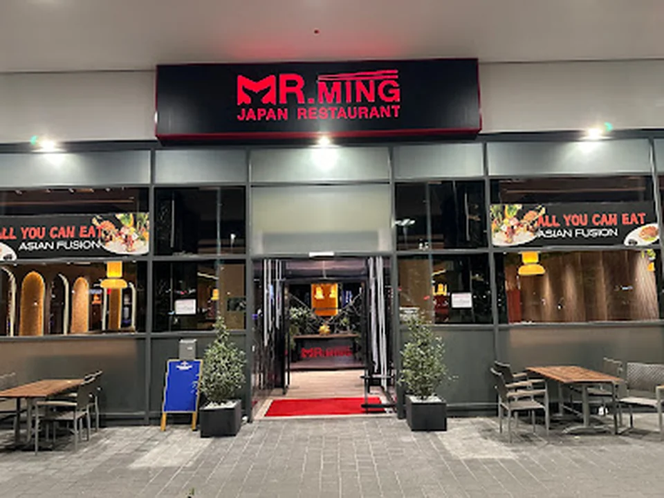 MR.MING
