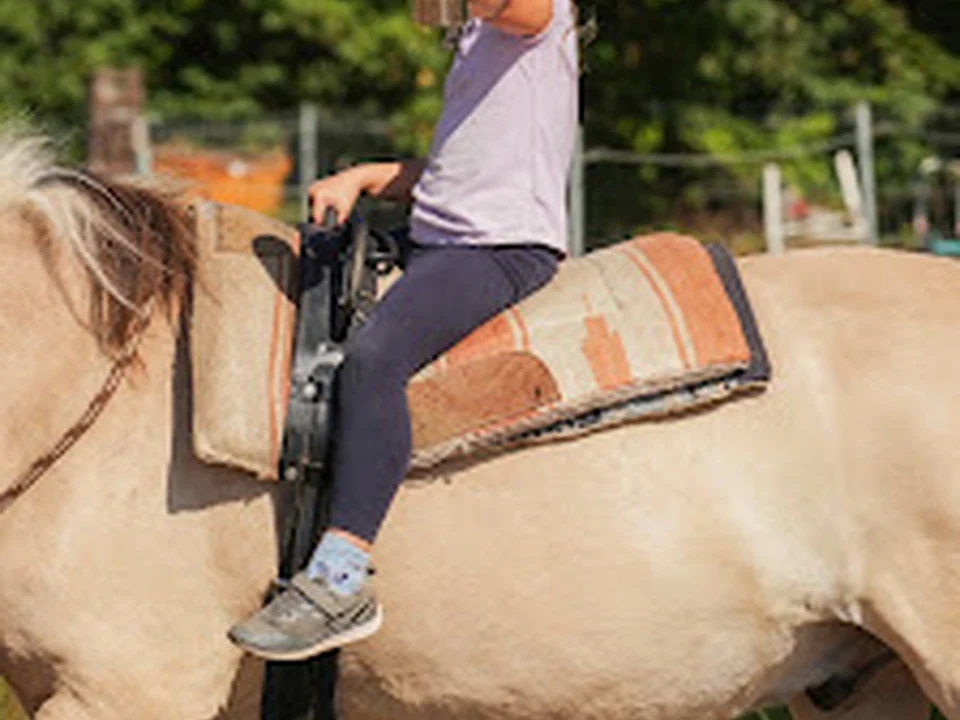 Best horse riding in Munich
