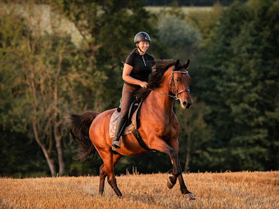 Reitschule HorseLifeBalance