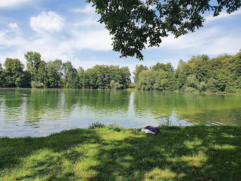 Stadtweiher