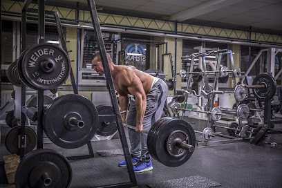 Dein Körpercoach Ernährungsberater und Personal Trainer