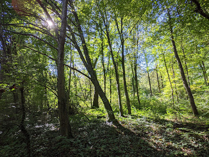 Allacher Lohe, Natur & Landschaftsschutzgebiet