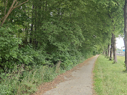 Rad- und Fußweg entlang der A8