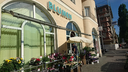 Blumen Maaß