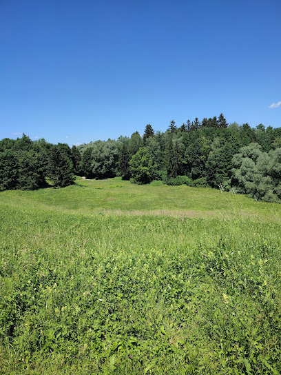 Rodelhang Teufelsberg