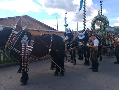 Festzelt Traditionauf der Oiden Wiesn