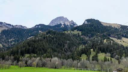 Wendelstein